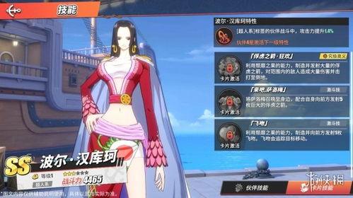 海贼王最新ss爆料